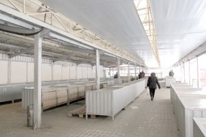 Piaţa centrală bârlădeană este goală: Gerul a fugărit comercianţii