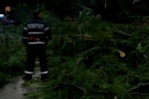 Familia din Arad dată dispărută, blocată în casa de vacanţă de la Debelagora!