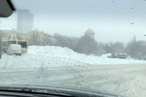 Irina Schrotter, ATAC la primarul Bureştiului: „RUŞINE”