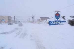  Mesaj transmis de primarul Mariana Gaju unui locuitor din Cumpana: Multumesc pentru spiritul civic de care dati dovada“. Ce a facut barbatul 