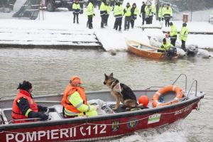 Sarbatoare printre nametii de pe malul Begai