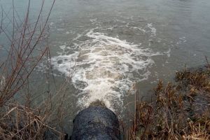 Societatea Smithfield a fost amendata de Garda de Mediu cu 10.000 de lei