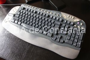 Legea privind telemunca a fost adoptata. Ce prevede. Explicatiile ministrului Muncii  