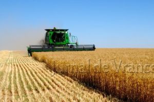 Pe 1 martie începe campania de depunere a cererilor pe suprafaţă