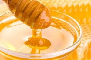 Miere de albine pentru preşcolari şi elevii claselor I-IV! Proiectul legislativ, susţinut de parlamentarii liberali