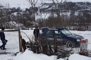 Jandarmii  băcăuani au sprijinit o familie cu lemne de foc şi alimente