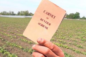 APIA începe vizarea carnetelor de rentier agricol