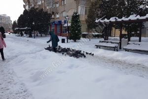 Târgoviştenii, care nu curaţă zapada şi gheaţa din faţa imobilelor, pot primi amenzi