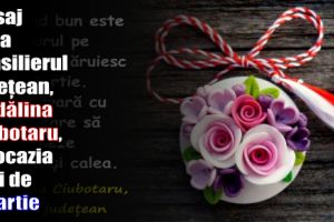 Mesajul consilierului judeţean, Mădălina Ciubotaru, cu ocazia zilei de 1 Martie