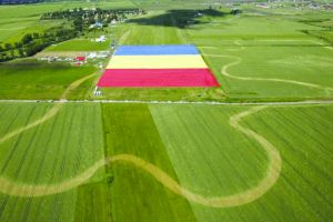 Steaguri, imnuri şi parade