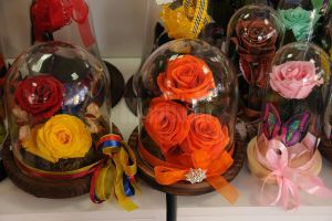 Queen Concept Flowers - o ofertă bogată de flori pentru suflet