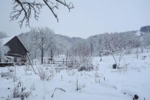 Un ONG va gestiona toate activităţile de la Ermitaj Malin. Ce se va întâmpla vara aceasta