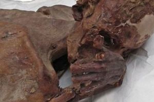 Istoria TATUAJELOR se rescrie. Mumiile egiptene sunt deţinătoarele celor mai VECHI scrieri în CERNEALĂ. Ce reprezentau acestea şi cum erau REALIZATE 