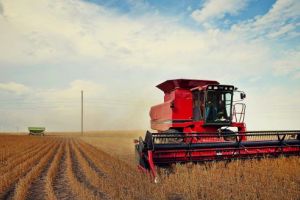 De la 1 martie, fermierii pot accesa noi fonduri europene