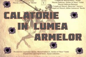 Expoziţie dedicată armelor