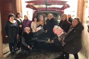 Cu sigla la Psihiatrie: Tovarăşele de la PSD Bihor au dus 50 de saci 