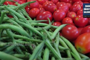 DSVSA Ialomiţa: Secţie pentru controlul pesticidelor din produse de origine nonanimală