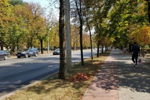 Bulevardul Castanilor, INCHIS circulatiei pana la ora 12