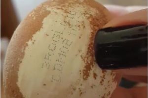 OTRAVA din MÂNCARE. OUĂ REVOPSITE şi cu TERMENE SCHIMBATE vândute în România - VIDEO