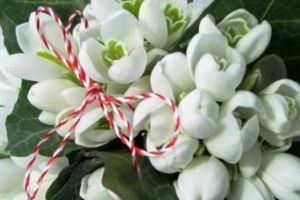 PROPUNERE EXPLOZIVĂ – 1-8 MARTIE – SĂPTĂMÂNA… MINUNATĂ!…