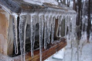 PRIMĂRIA CĂLĂRAŞI ANUNŢĂ -