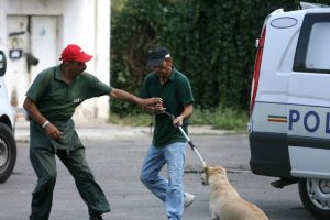 Maskulik explică de ce nu este ecarisaj: probleme cu legea şi cu ONG-urile!