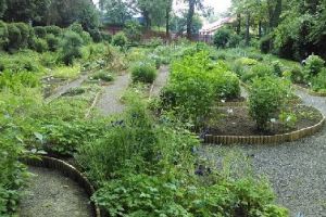 70 de ani de la înfiinţarea grădinii Botanice a UMF Târgu-Mureş