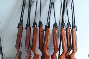 Modificări la regimul armelor: Vânătorii sunt obligaţi să se înscrie într-o asociaţie, iar armele neletale nu pot fi purtate de cei băuţi