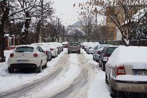 Se vede si de la Viena dezastrul cu deszapezirea Timisoarei. Robu: Dau vina pe greaua mostenire