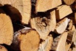 Lipsa lemnului de foc îl plimbă pe ministrul Pădurilor prin întreaga ţară