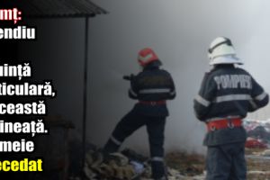 Neamţ: Incendiu la o locuinţă particulară, în această dimineaţă. O femeie a decedat