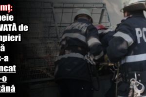 Neamţ: Femeie salvată de pompieri după ce s-a aruncat într-o fântână