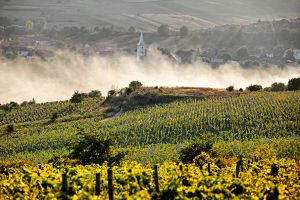 Lechinţa: Cum va fi marcat o jumătate de secol de istorie modernă