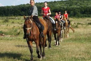 Relaxare călare: Bihorenii pot face plimbări de plăcere sau chiar să înveţe arta echitaţiei la patru centre dedicate din judeţ