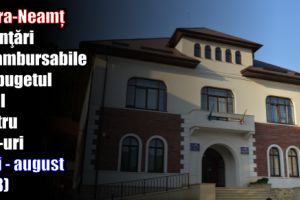 Piatra-Neamţ – Finanţări nerambursabile din bugetul local pentru ONG-uri (mai-august 2018)