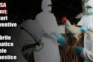 DSVSA Neamţ: Măsuri preventive la păsările sălbatice şi cele domestice