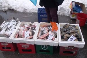 Ce le-a spus jandarmilor: O femeie din Eforie comercializa ilegal peste la targul din localitatea General Scarisoreanu