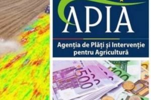 Începând din 01 martie 2018, fermierii pot depune Cererile unice de plată
