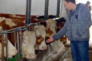 Viorel Stegar, fermierul cu drag de animale din Bistra Mureşului