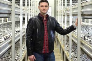 ”Golo”, savoarea ciupercilor Champignon şi Pleurotus, produse în Sâncraiu de Mureş