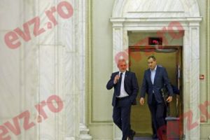 Liviu Dragnea şi-a securizat fotoliul din Kiseleff