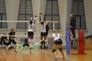 Târgovişte, bestia neagră