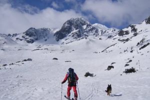 Negocieri pentru semnal GSM în munţi