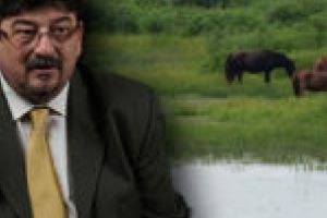 Prefectul Matei Lupu: Turismul nu ar afecta biodiversitatea din rezervaţiile naturale din Caraş-Severin