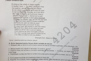 FOTO/ VIDEO: SUBIECTE simulare EVALUARE NAȚIONALĂ 2018, la limba şi literatura română, pentru elevii de clasa a VIII-a
