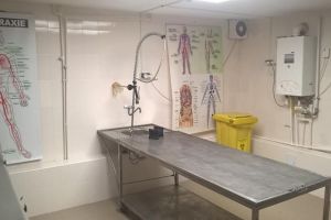 Preoţii riscă amenzi mari, dacă mai primesc în capele decedaţi fără certificate de ...