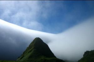 Când ceaţa învăluie pământul, SE NAŞTE O NOUĂ LUME. Garantat, imagini în premieră, care-ţi vor face ZIUA MAI FRUMOASĂ. Foto