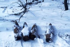 FOTO: Patru proiectile explozive descoperite în pădure