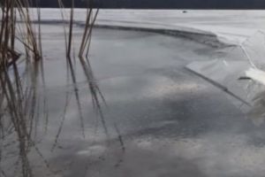 Ce se ASCUNDEA la marginea unui LAC din BOTOȘANI. Au fost chemaţi JANDARMII