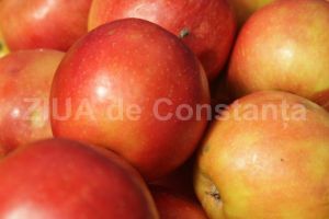 Merele suprima foamea si de aceea sunt indicate in curele de slabire